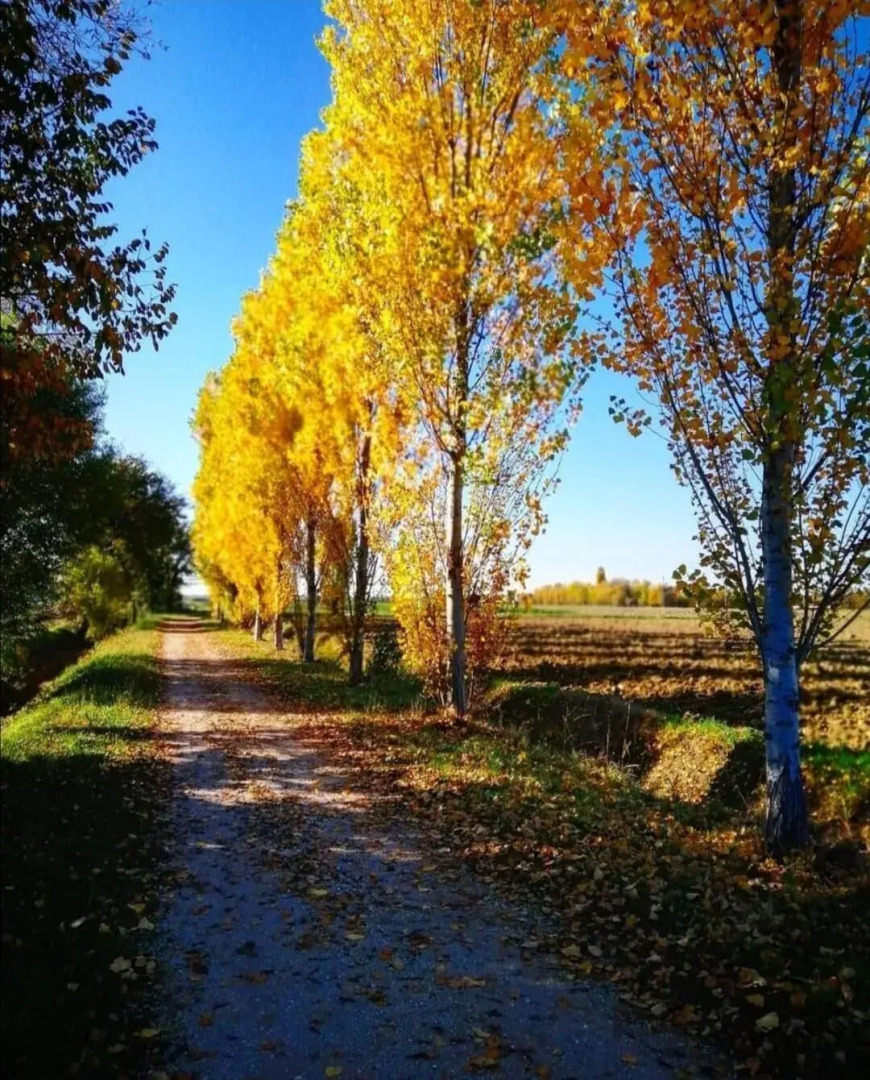 Agriturismo-B&B Colombera