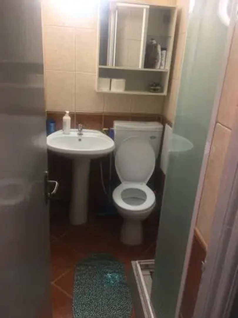 Lions Studio Dristor