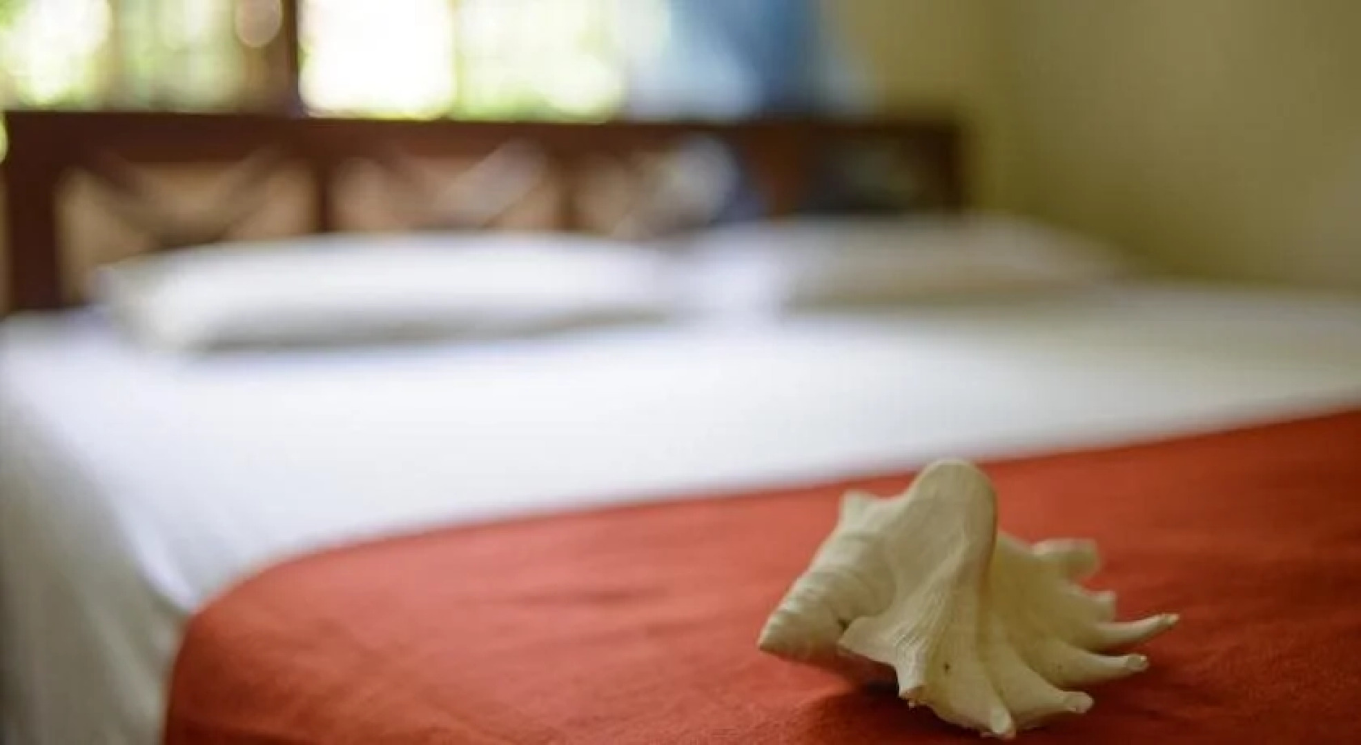 Paradise Hostel Galle