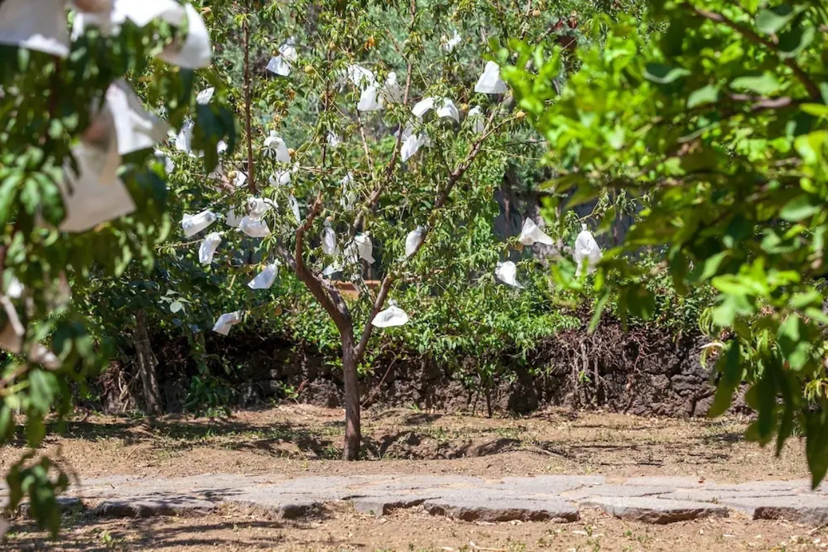 Casa Nanitta Maison de Charme