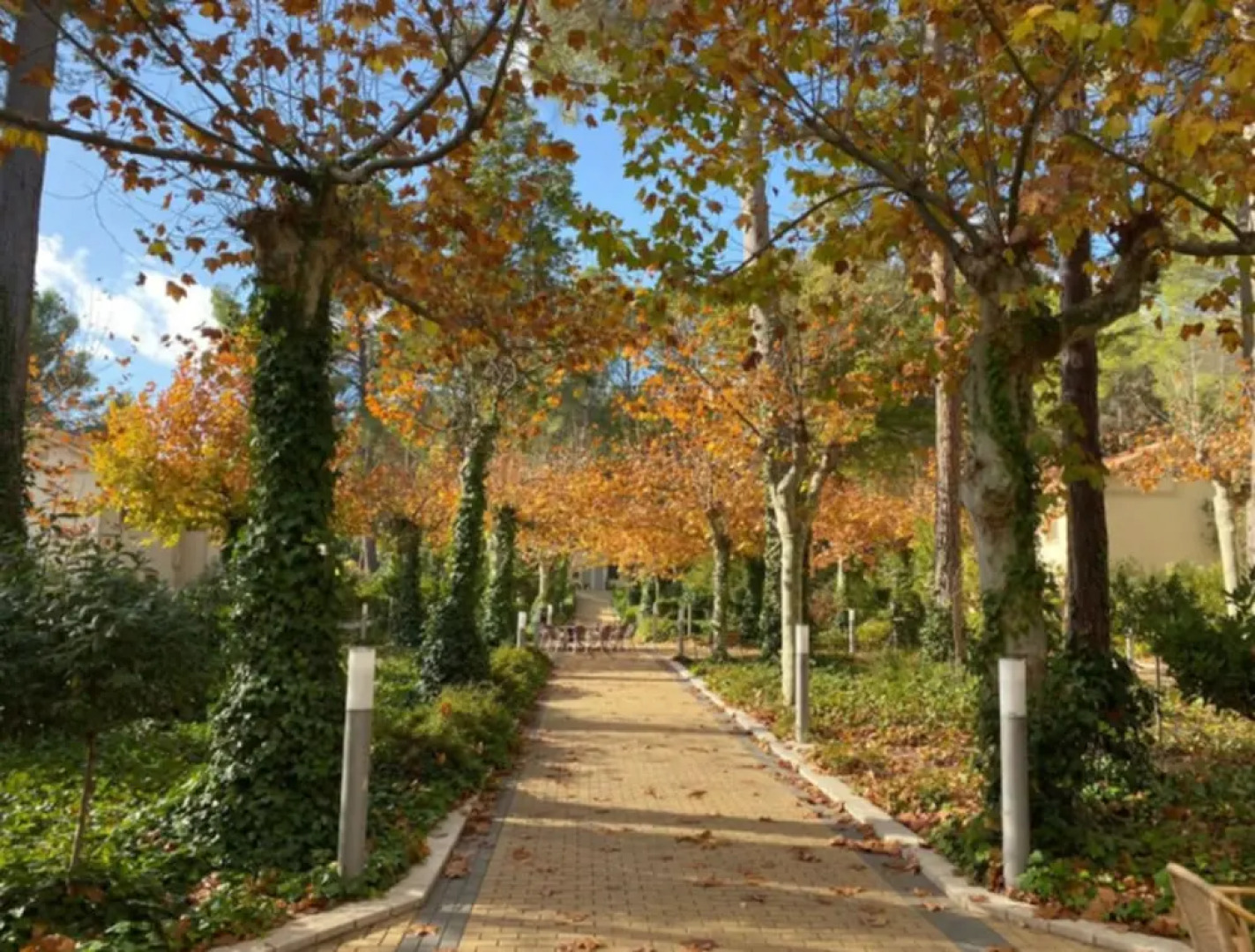 Confluent Health Resort