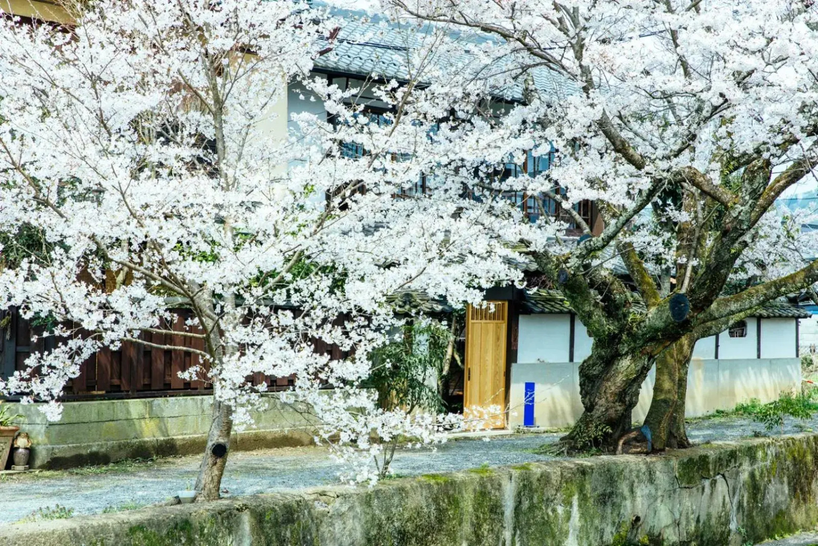taos 丹波の風土を感じられる一棟貸切の宿