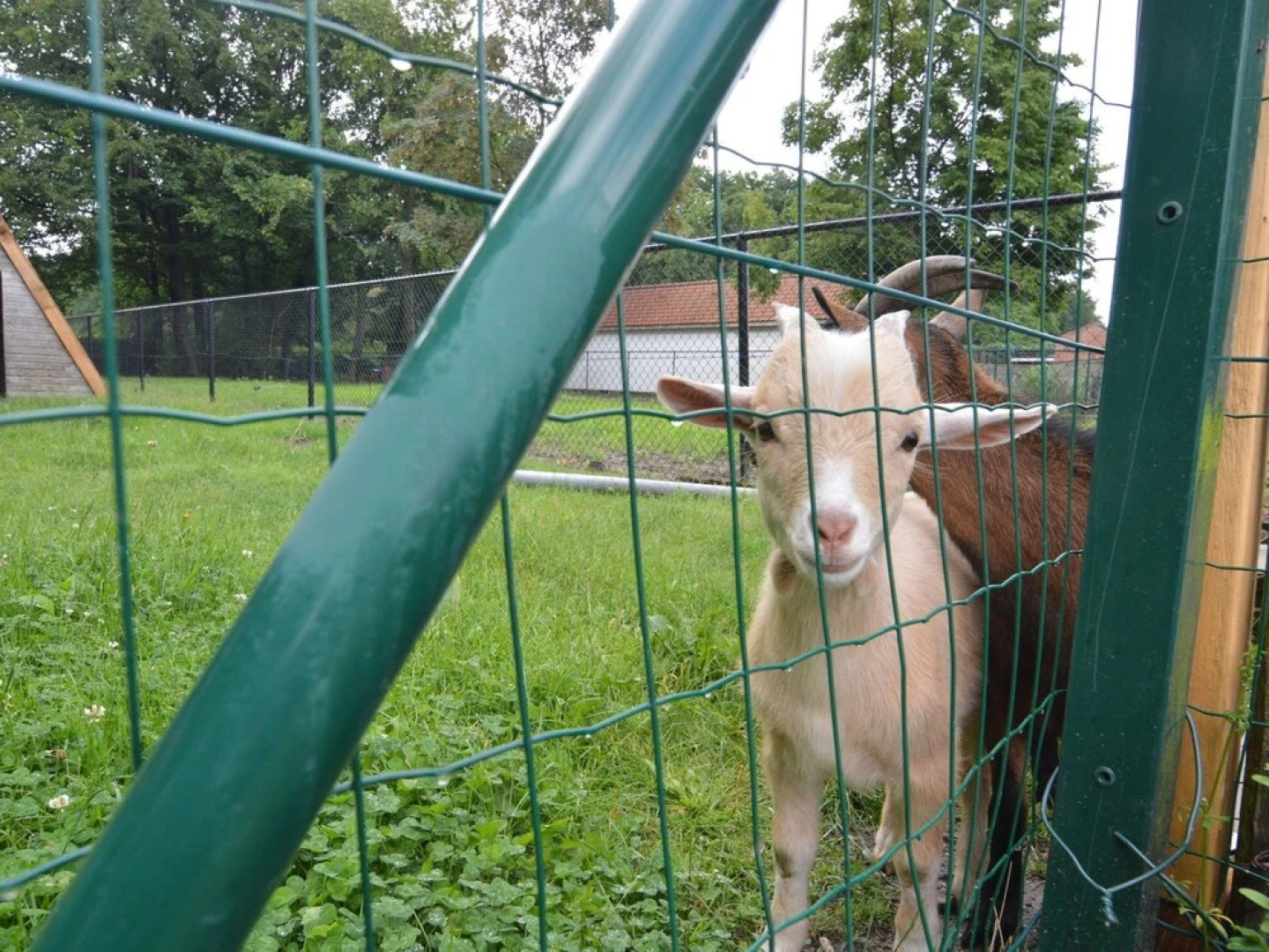 Spacious Holiday Home in Peer with Garden