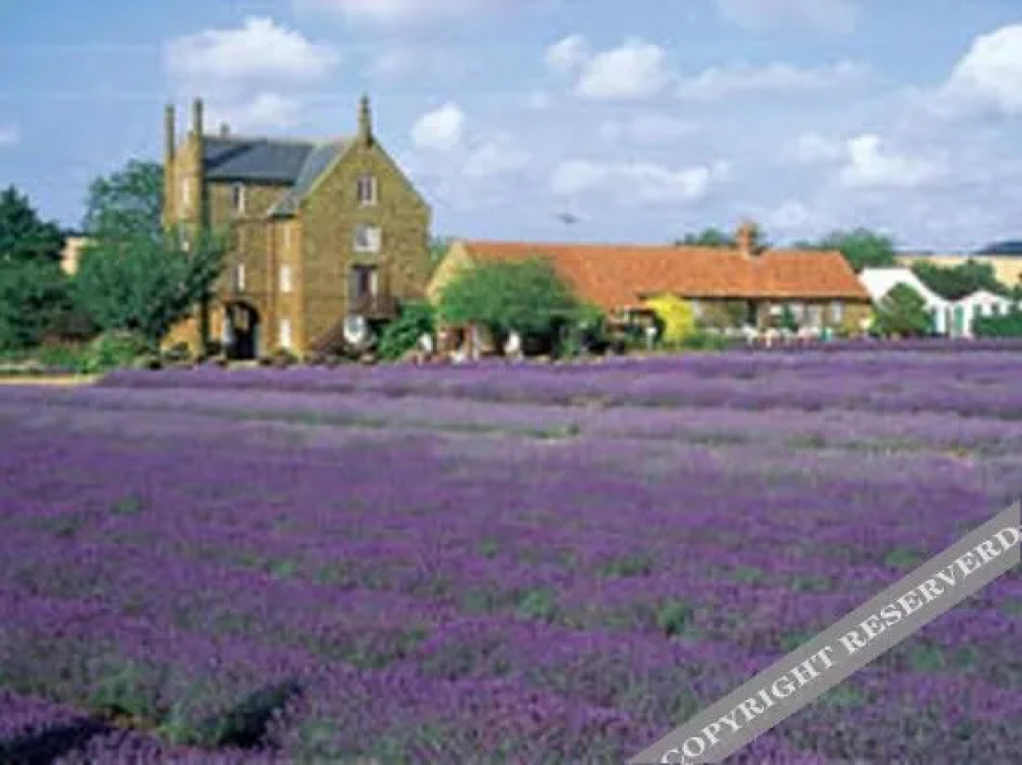 The Bays Guest House