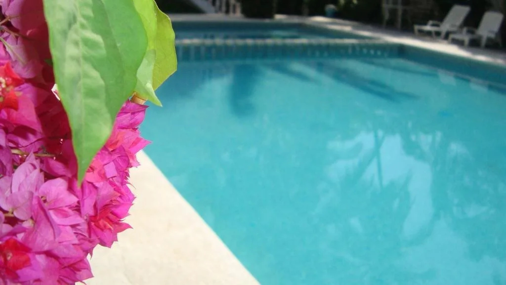 Hotel Quinta Blancas