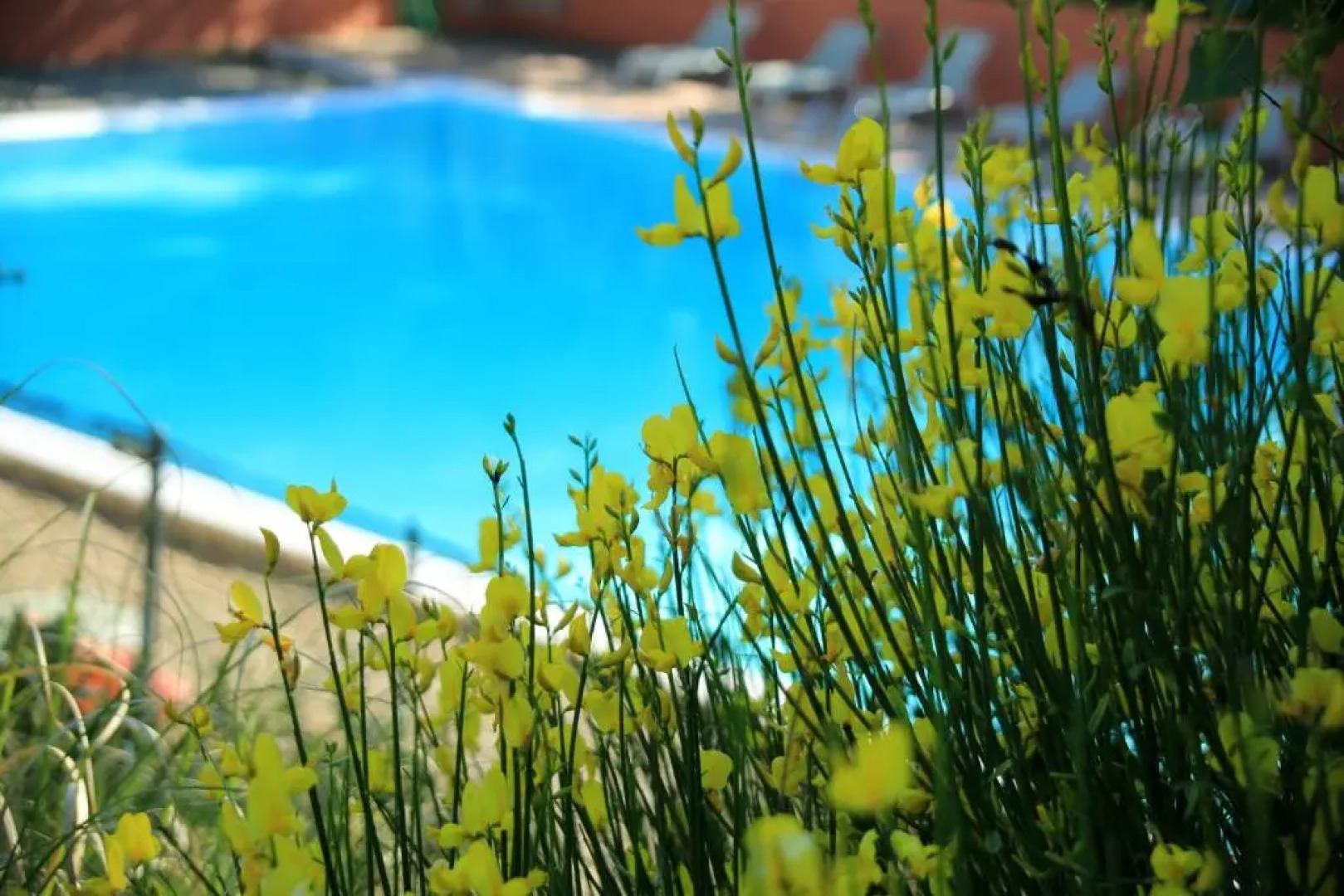 La Colline des Ocres Village de vacances 3 étoiles