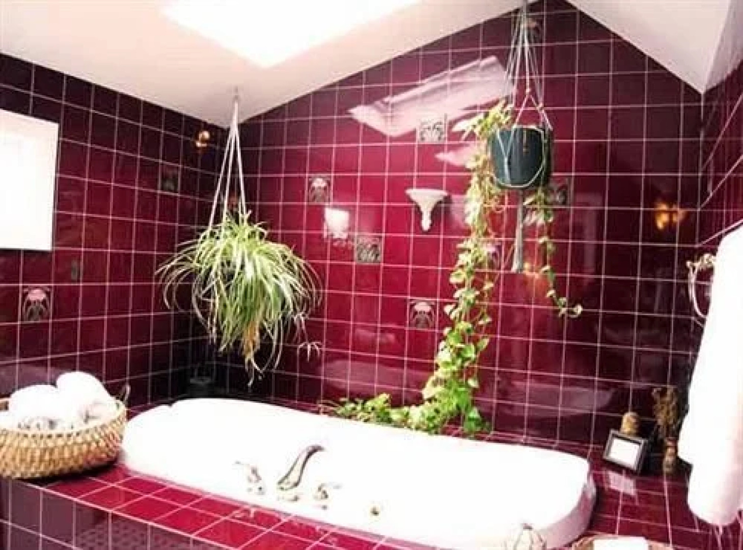 Alexander Hamilton House