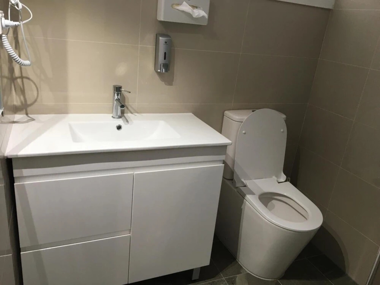 Poplars at Mittagong