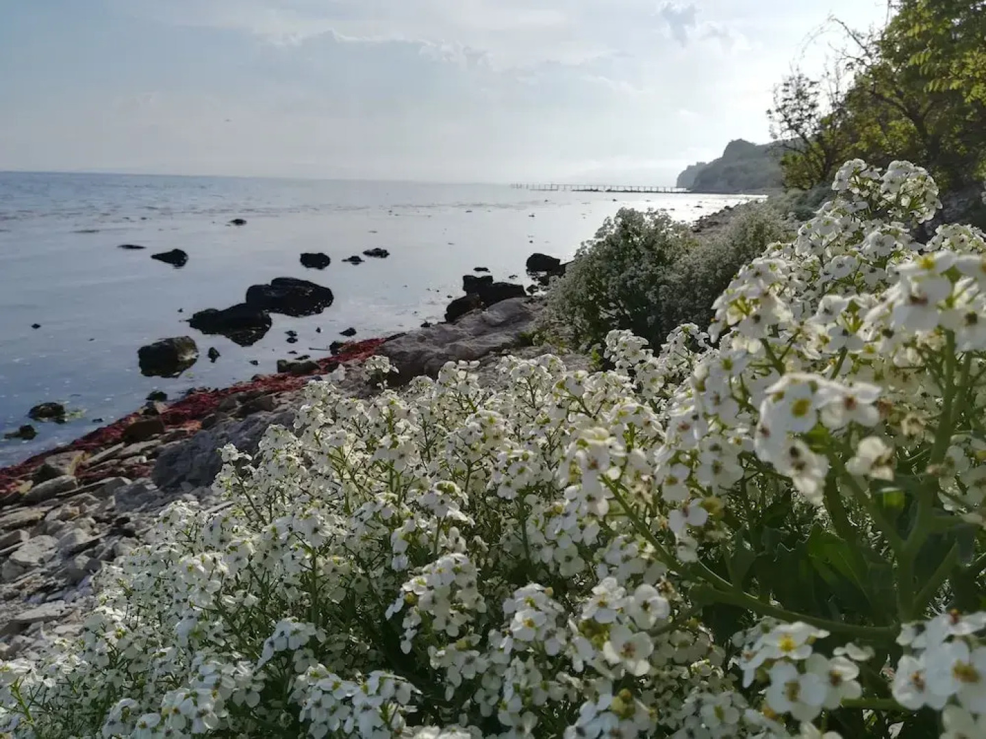 Villa L3 in Lighthousegolf 5*Resort