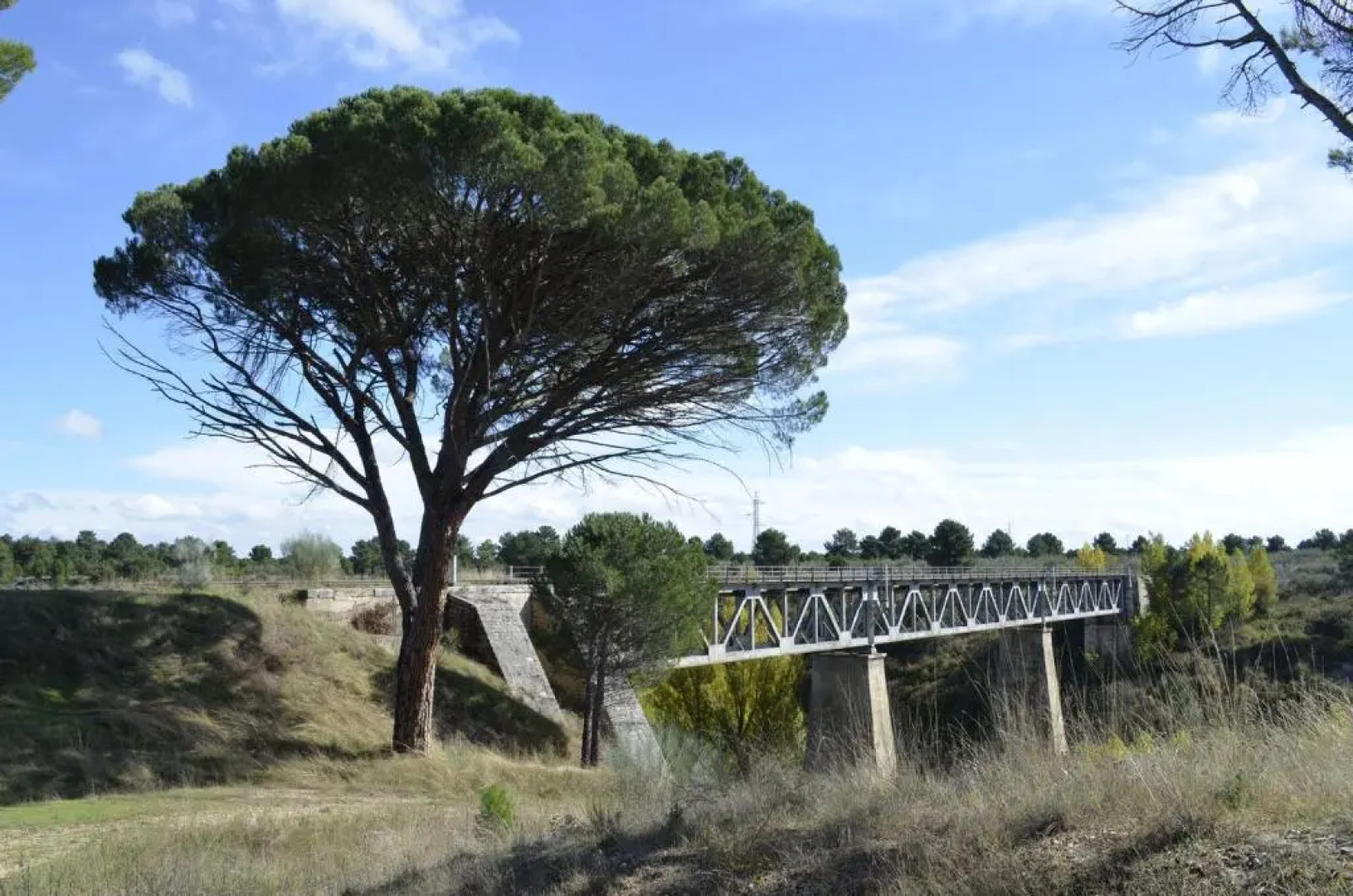 Señorío de los Fonseca