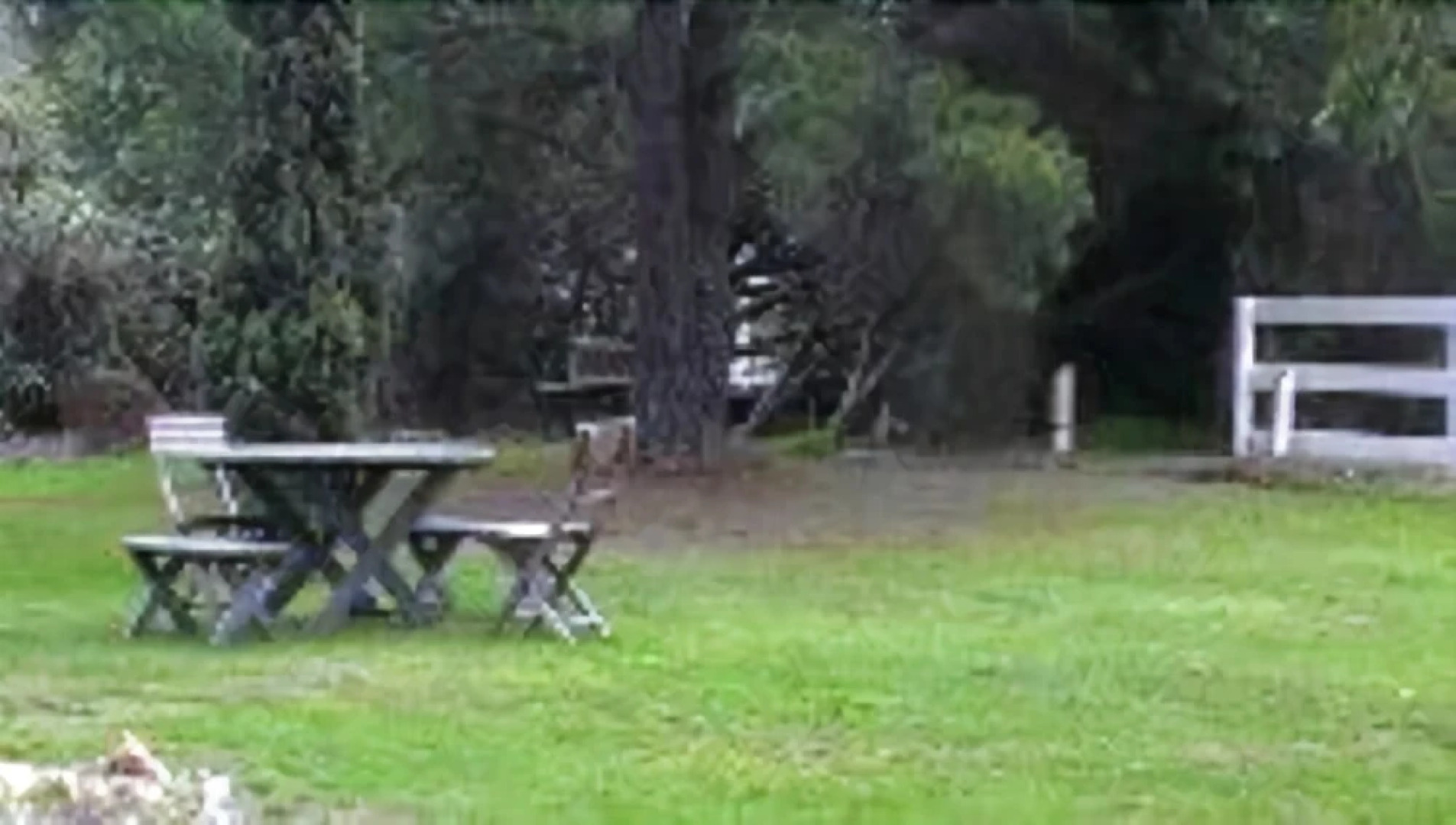 Acacia Motor Inn @ Nhill