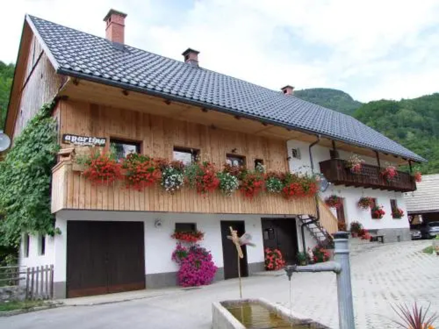Apartments Kocjanc