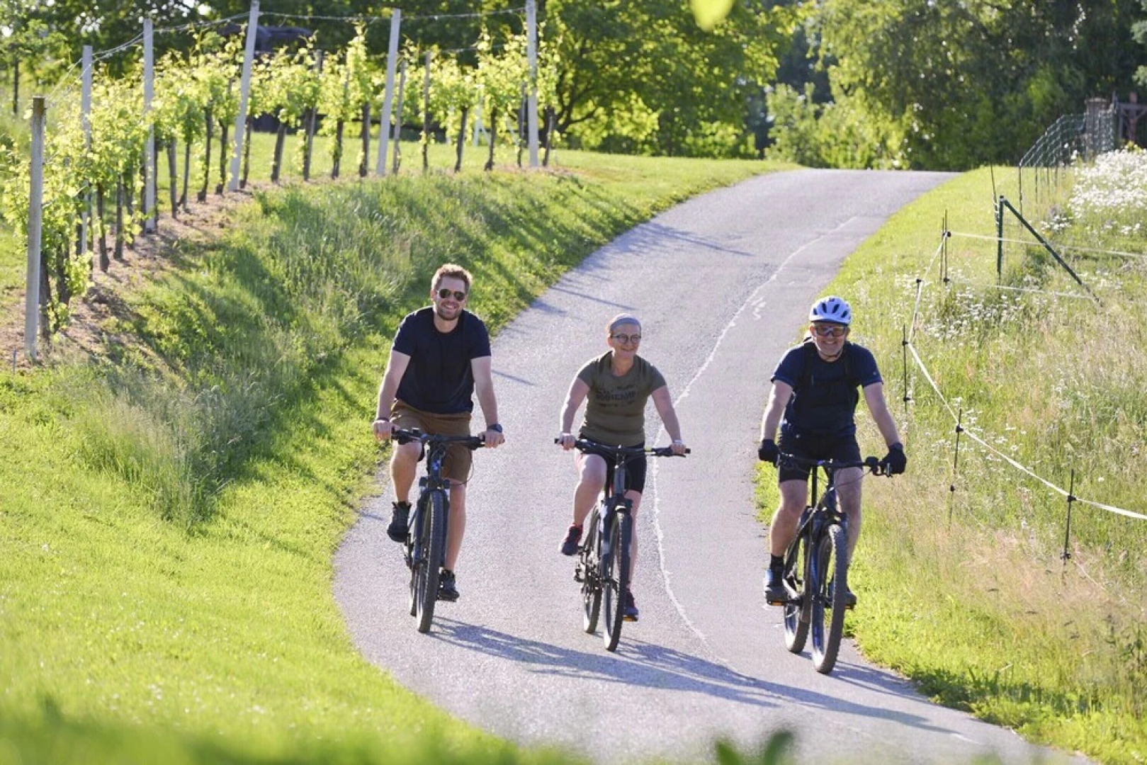 Apartments Vinska Trta