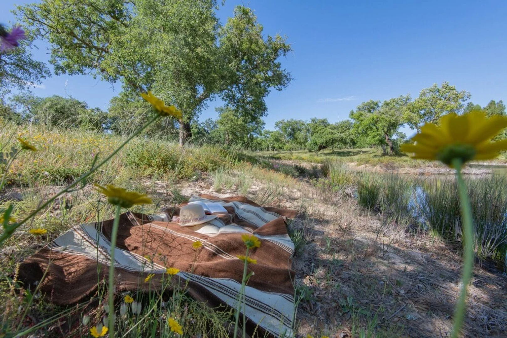 Suite Herdade Vale da Abelheira - Mystay
