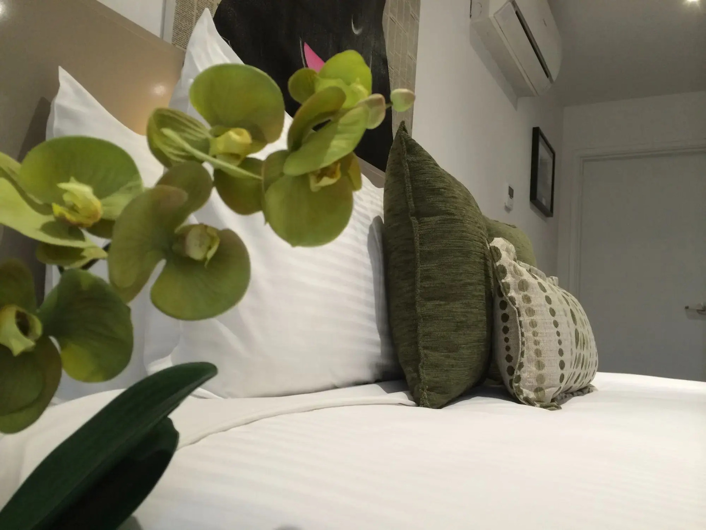 North Adelaide Boutique Stays Accommodation