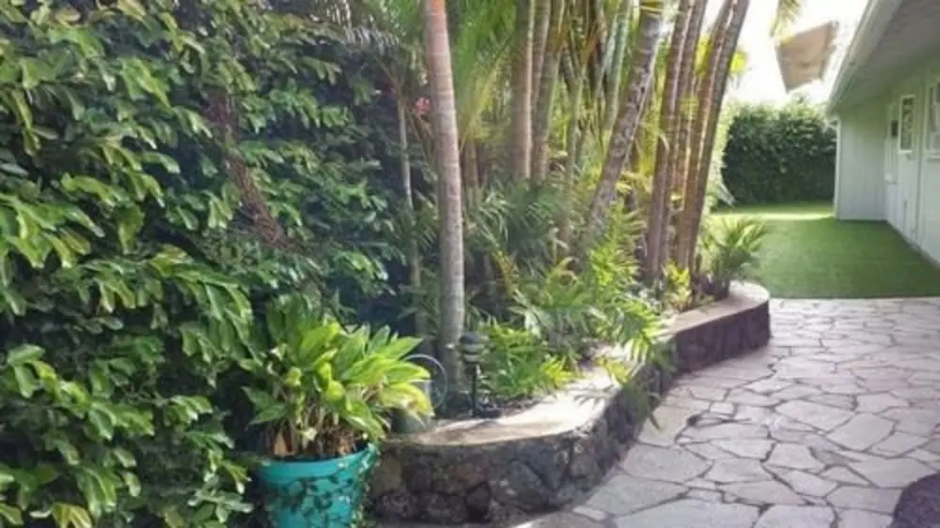 Paradise Palms B and B