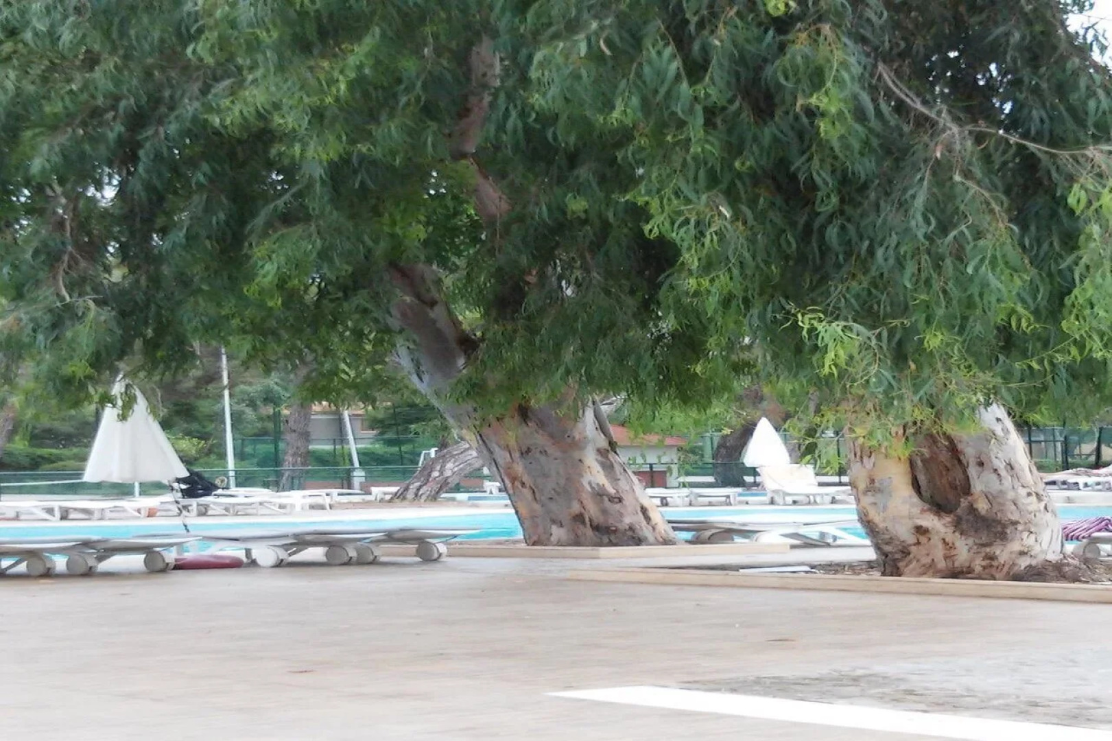 Bergiz Hotels & Resort Kemer 