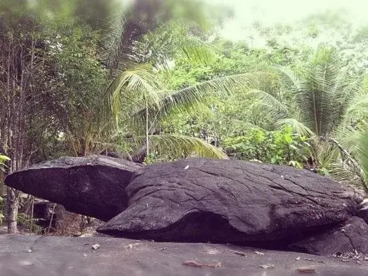 Thmorda Garden Riverside Resort
