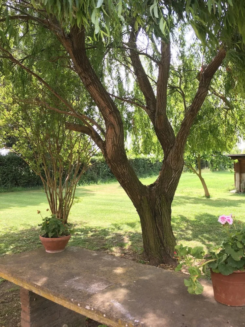 Villa Favilli