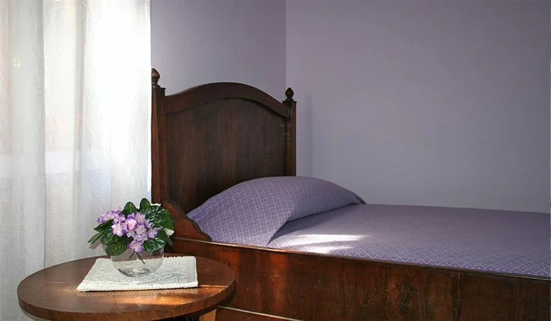 L'Albero del Cioccolato