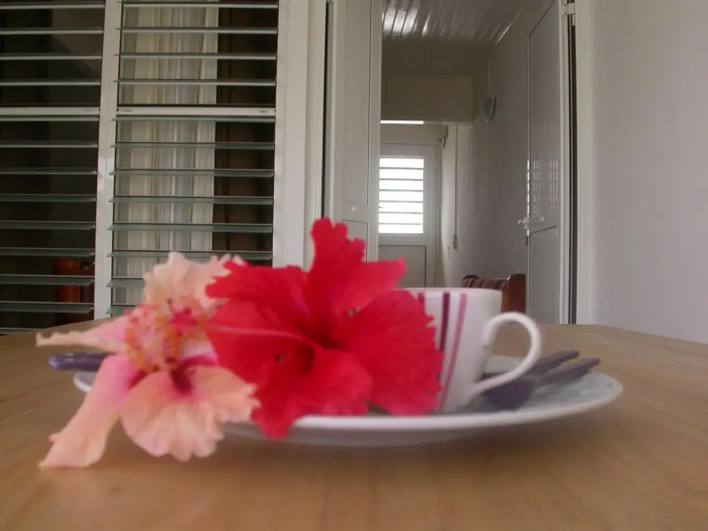 Maison de Vacances à St Anne Martinique