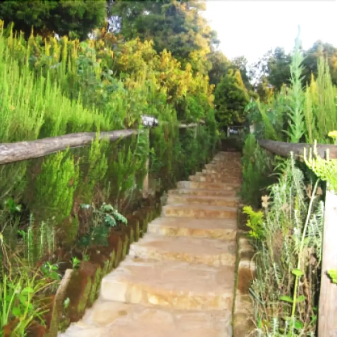 Airport Planet Lodge @ Kilimanjaro International Airport