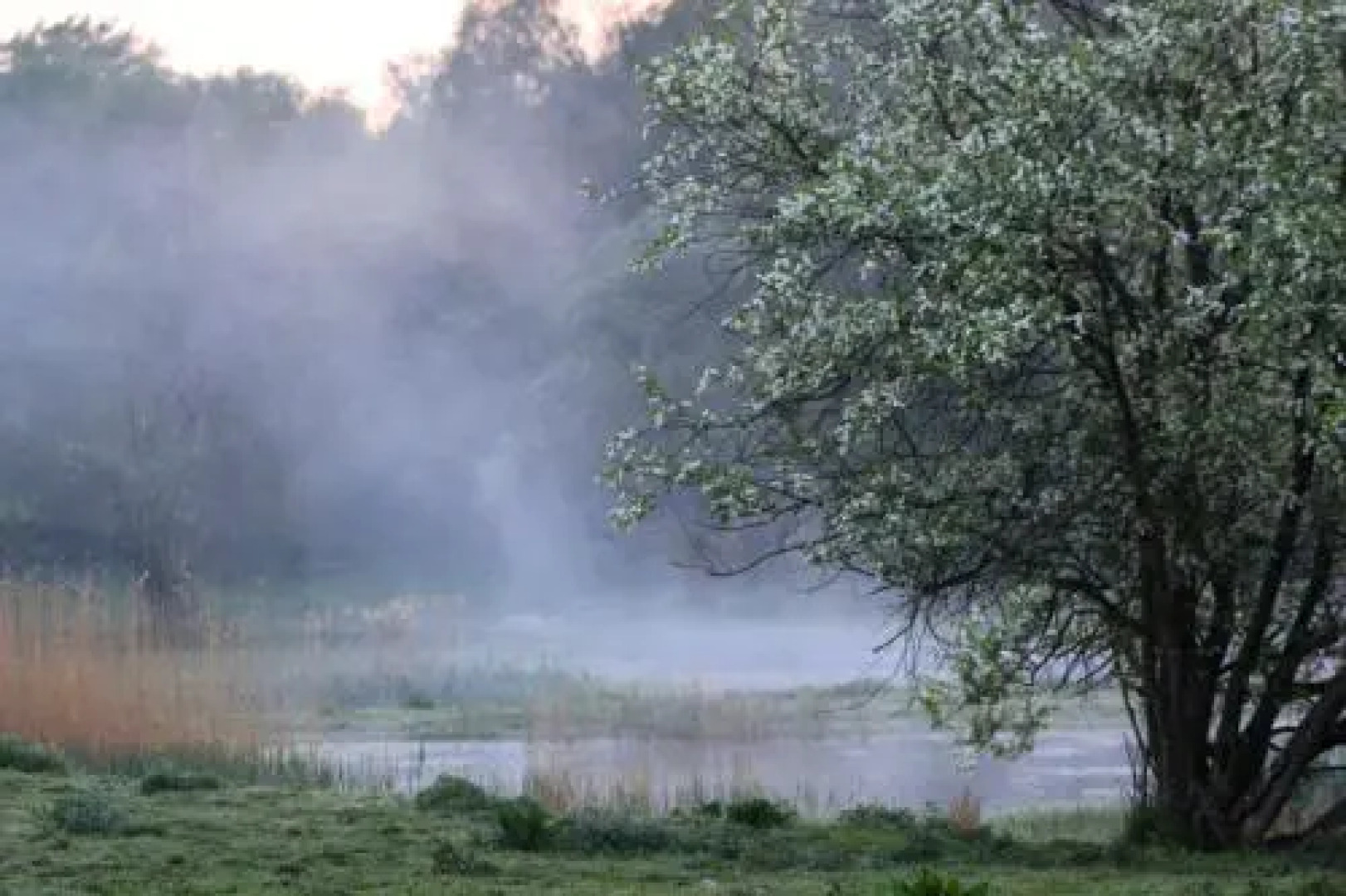 STF Trollskogens Vandrarhem
