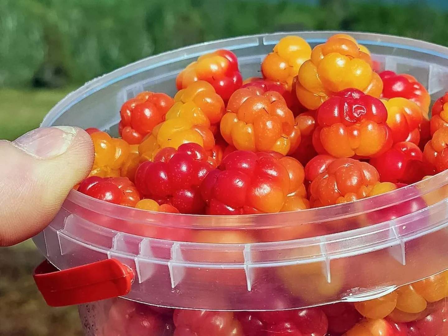 Holiday Home in Grovfjord