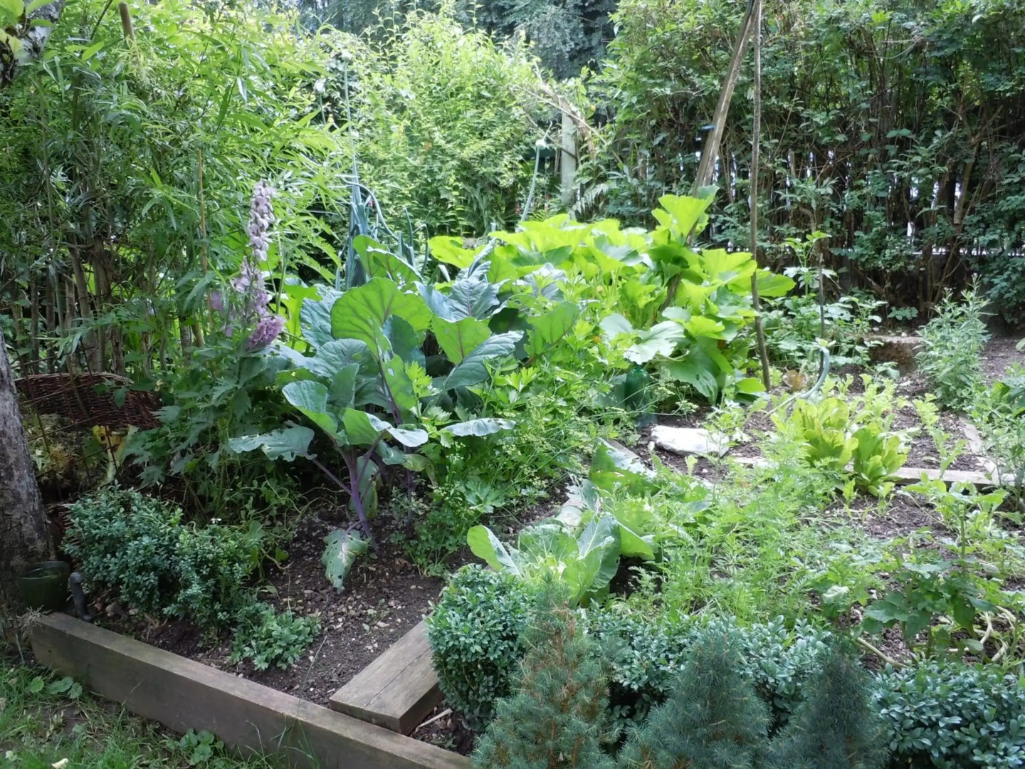 Appartementhaus Dargham