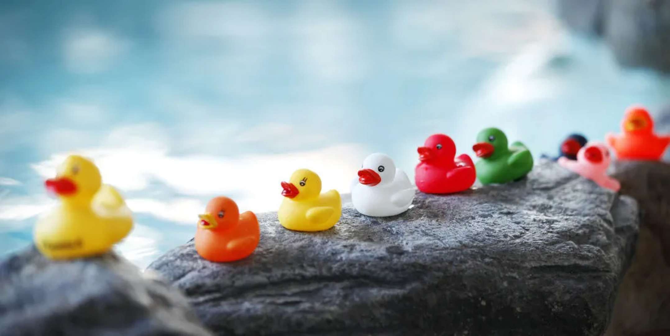 Kalajoen Kylpylähotelli Sani Oy