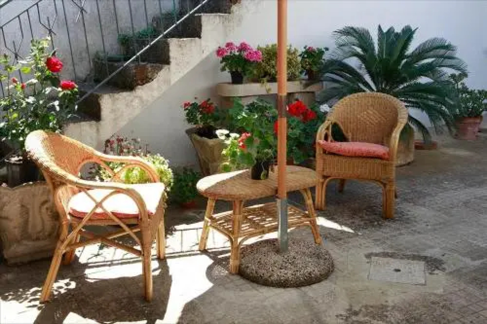 Spiti Bed & Breakfast