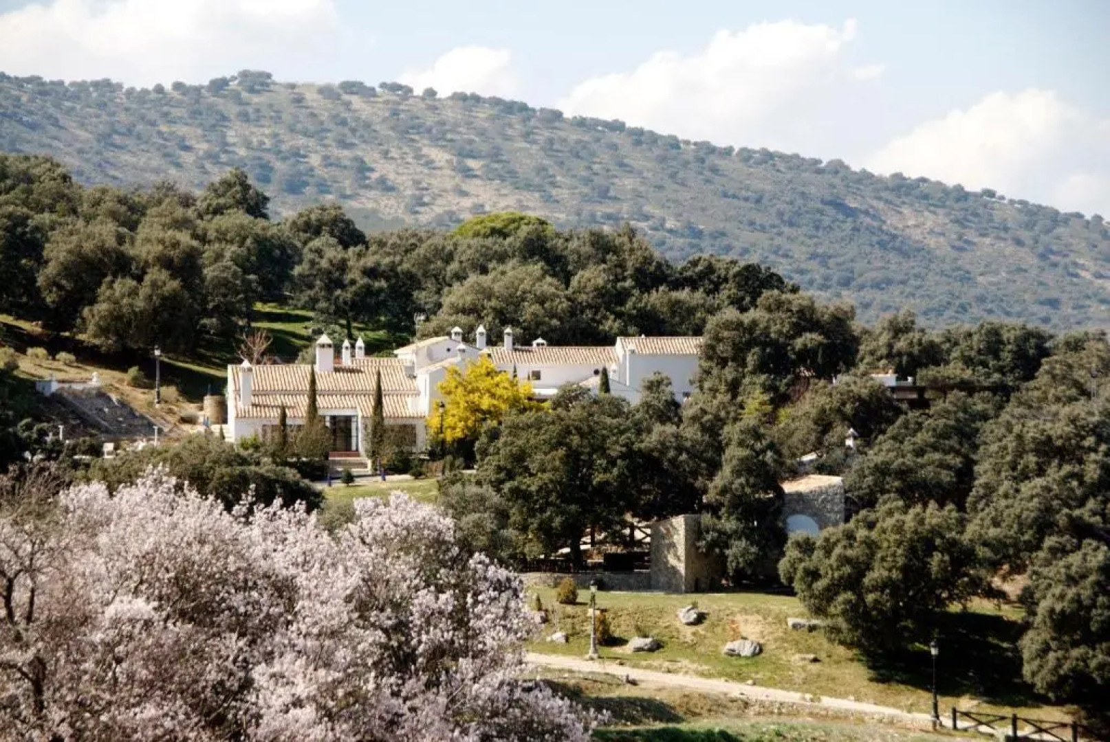 Los Pilares de Ronda Boutique & Hotel