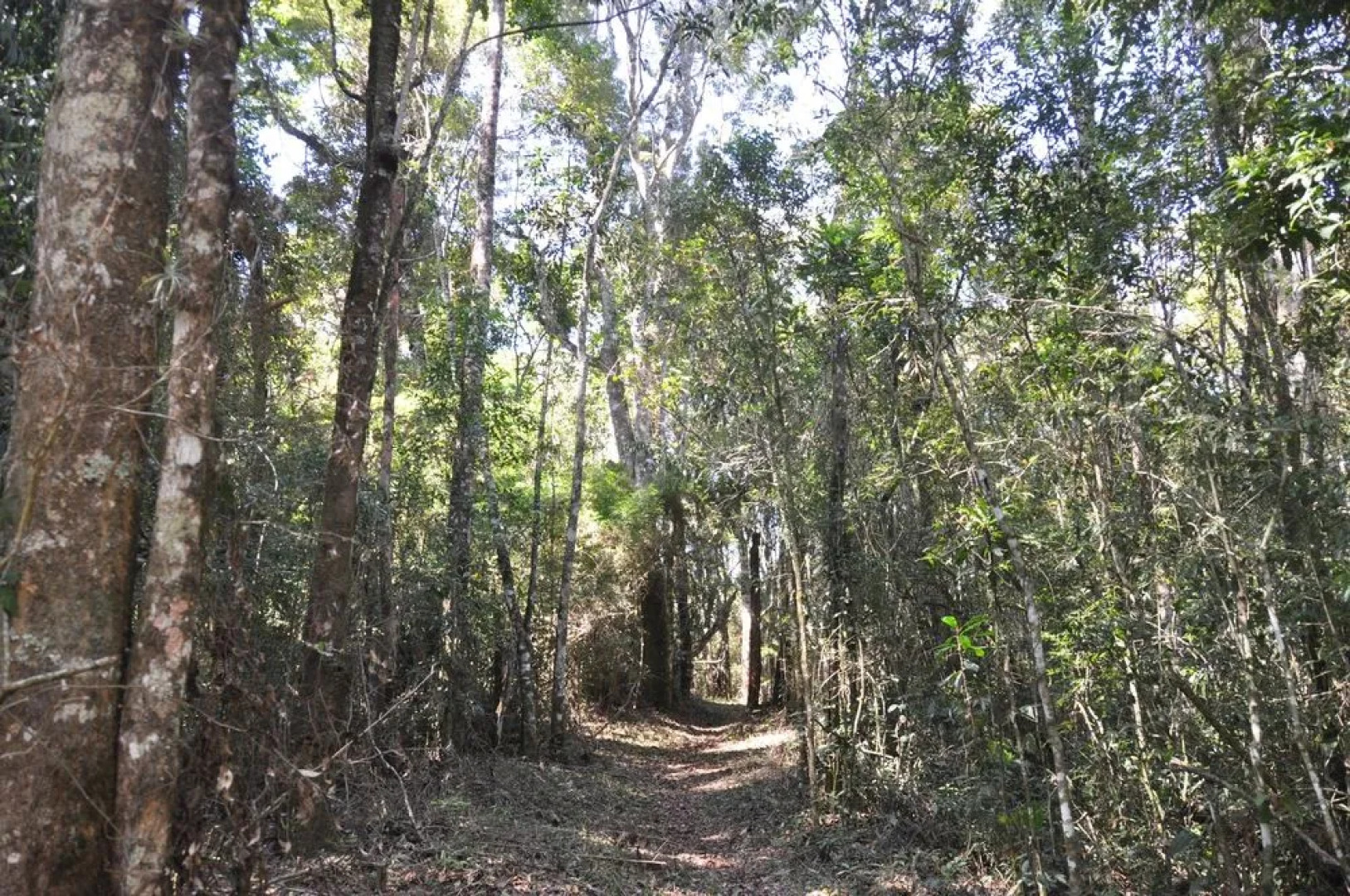 Pousada Quinta dos Pinhais