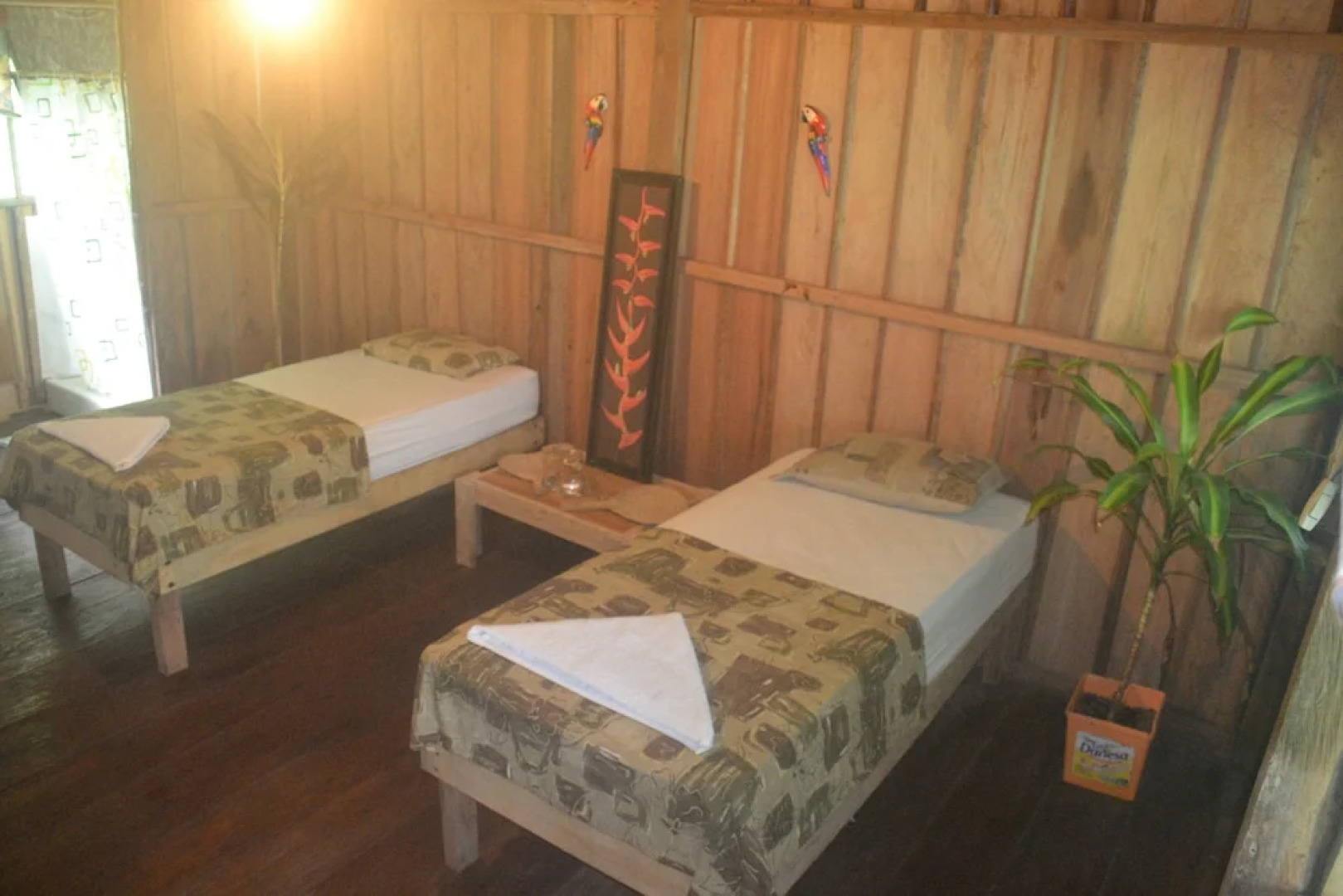 Amazon Exploring Expedition - Eretzen Tá Lodge