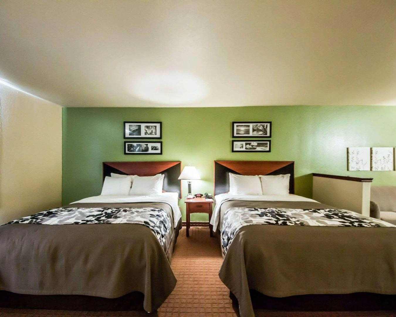 Sleep Inn & Suites Shamrock