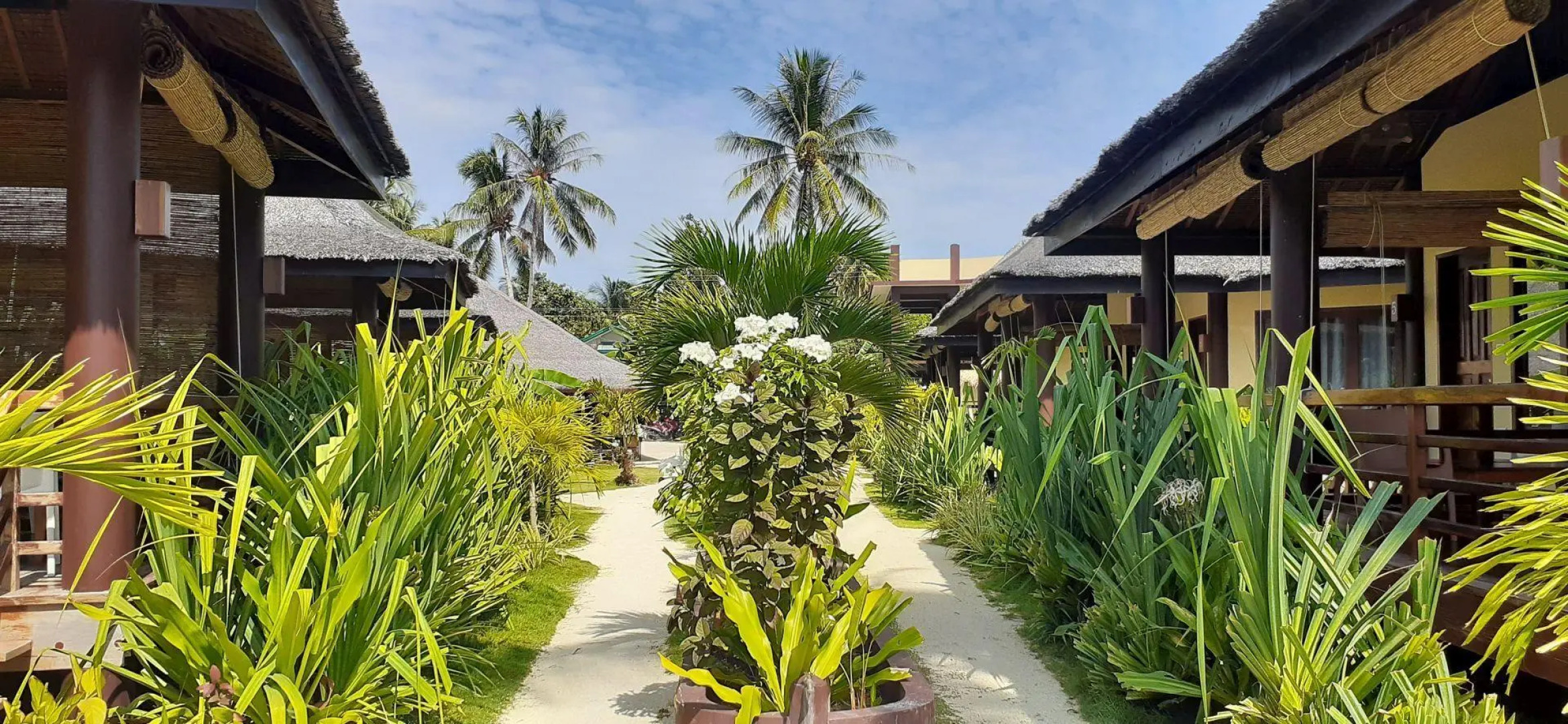 Jonas & Twins Resort