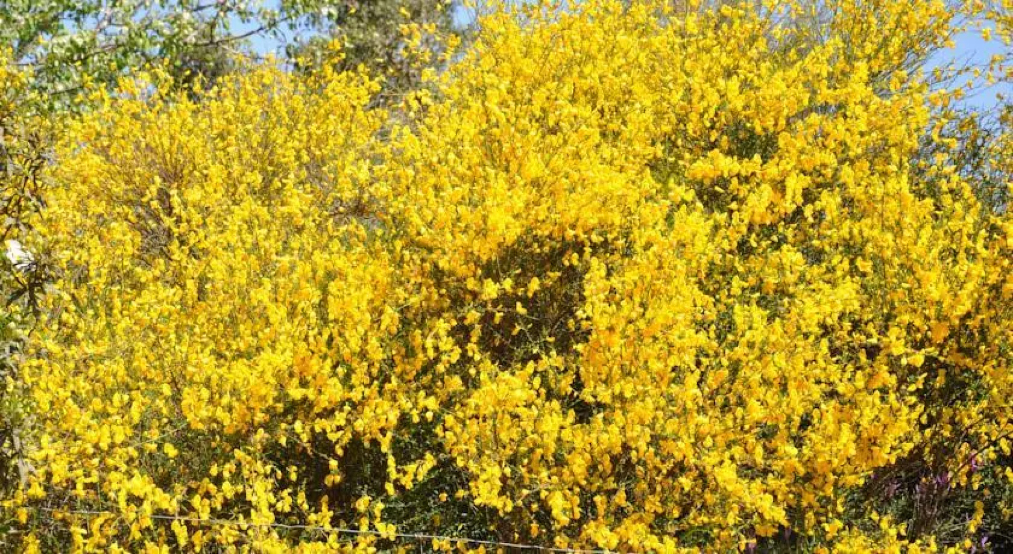 Refugio De La Rabaza