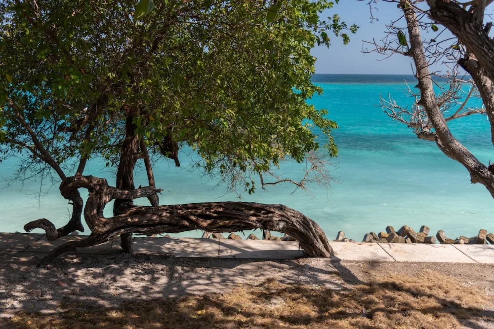 Lago de los Sueños Island