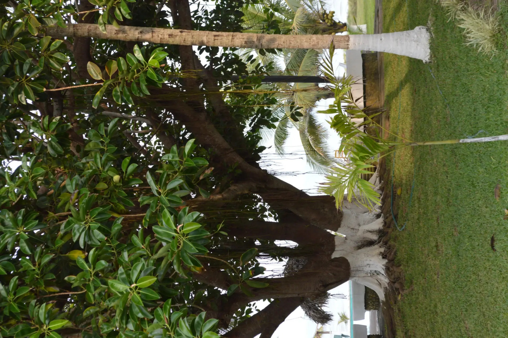 Villas playa Paraiso