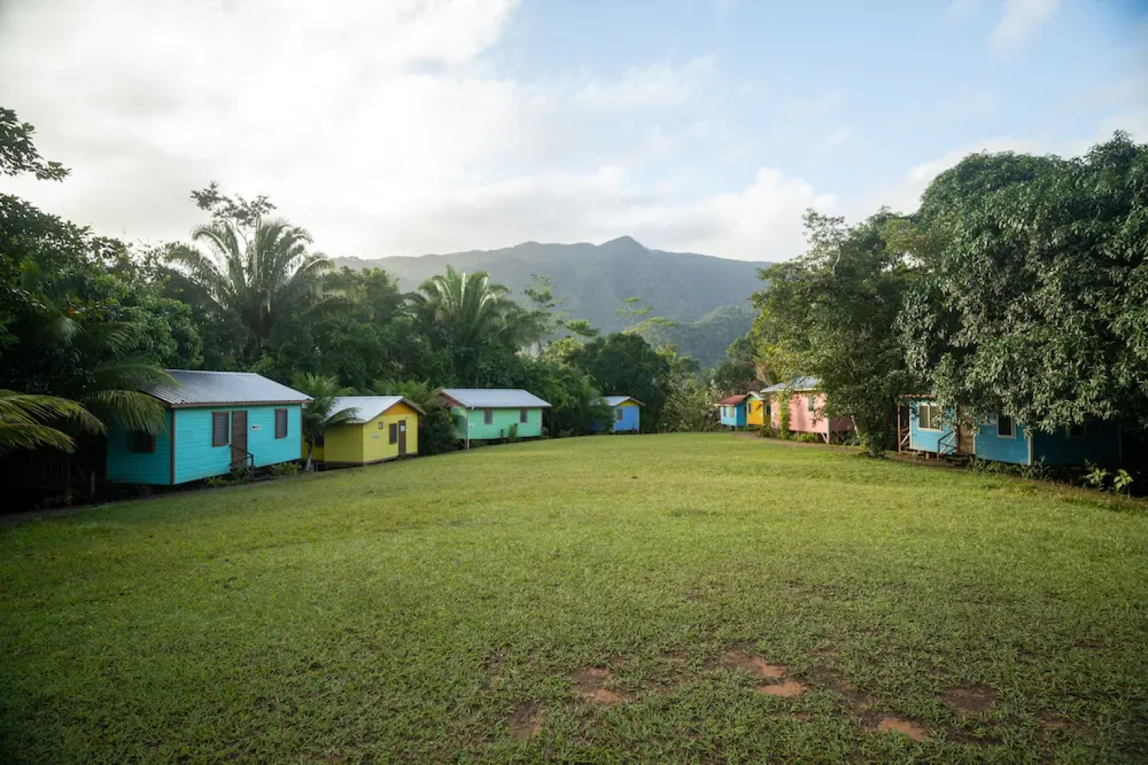 Toucan Ridge Ecology & Education Society T.R.E.E.S.