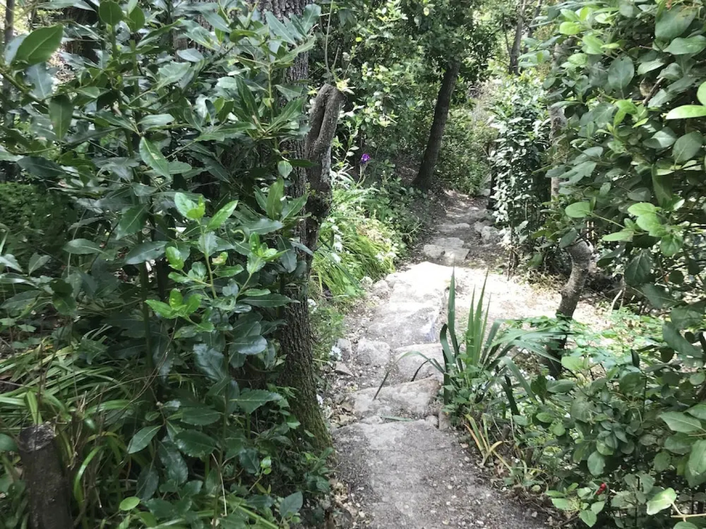 Serene Holiday Home in Lagrasse With Terrace