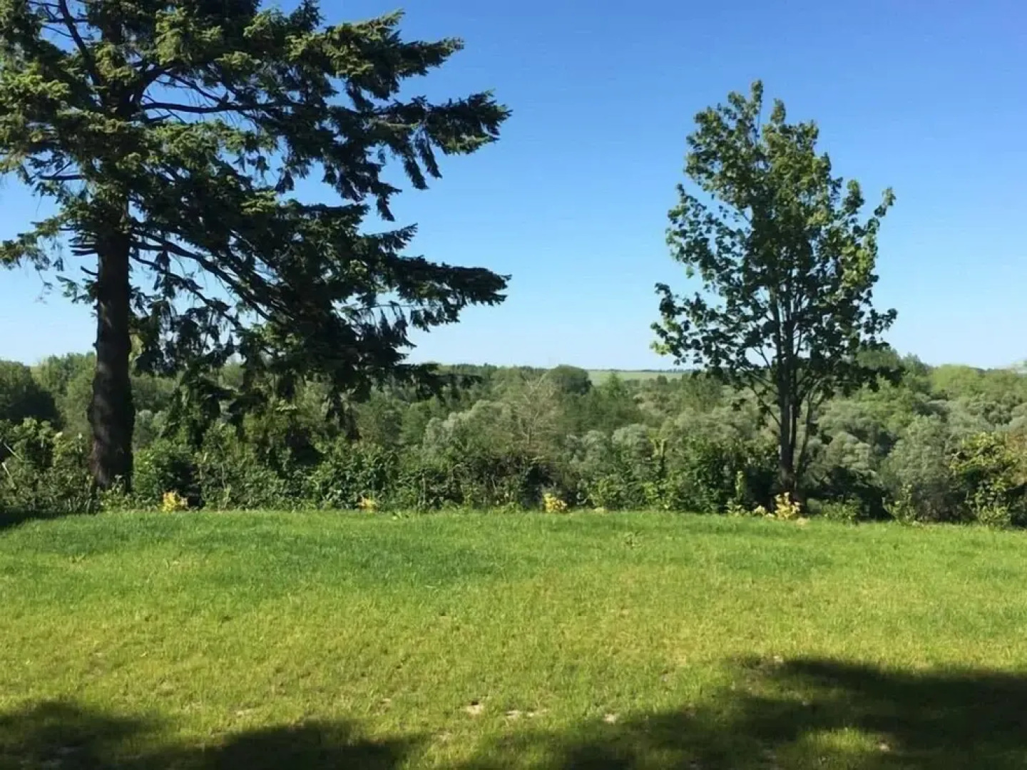 Domaine Du Blanc Pignon