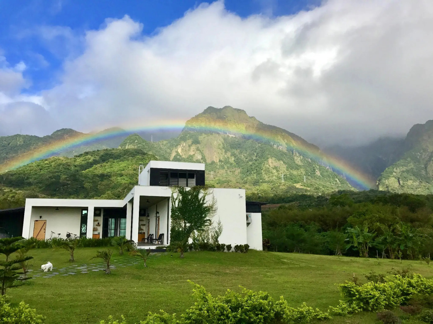 King Kong Loves Barbie BnB