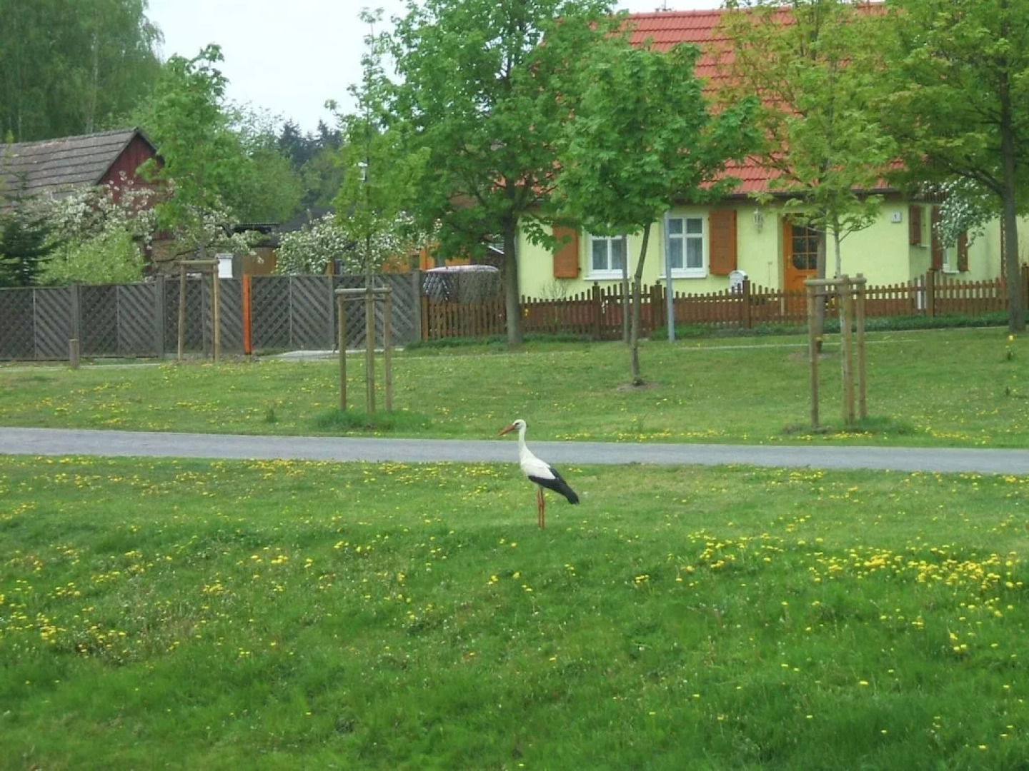 Spacious Holiday Home in Sommerfeld near Lake