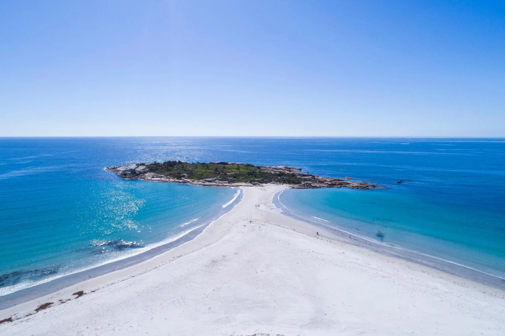 Diamond Island Resort & Penguin viewing