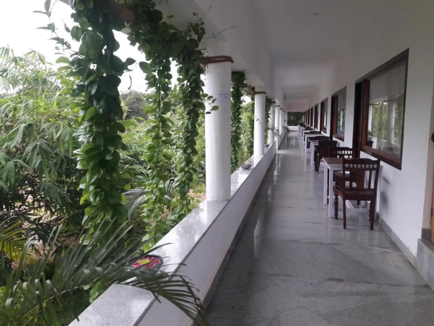 Alice Paradise by Moonrakers