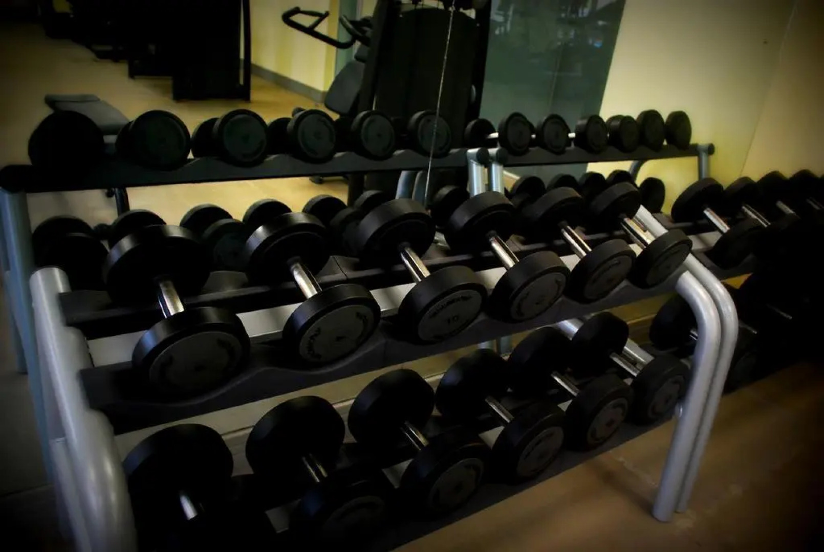 The Sojourner by Genesis