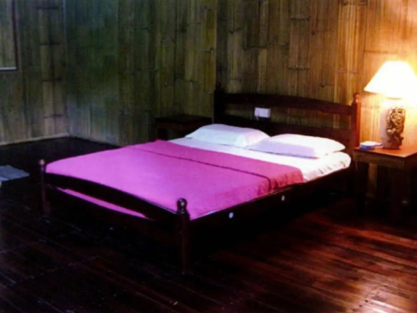 Borneo Proboscis River Lodge