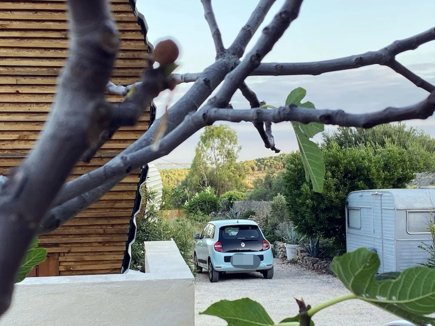 Tipi Lounge and breakfast