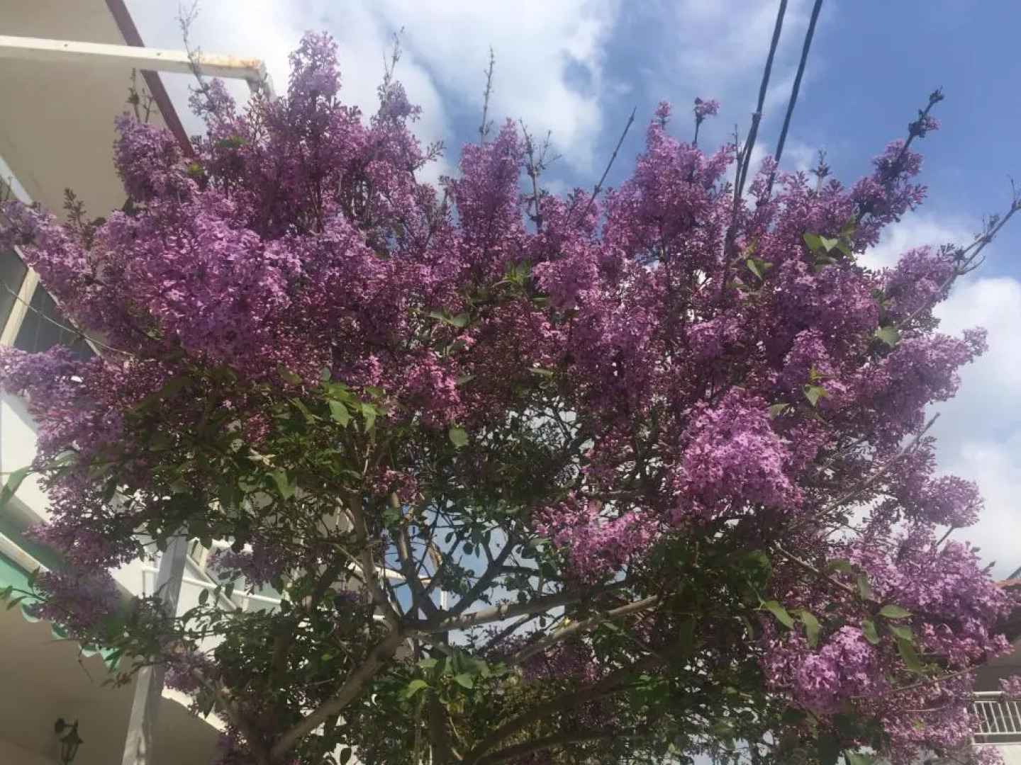 50 Steps From The Sea